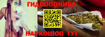 apvp Шелехов
