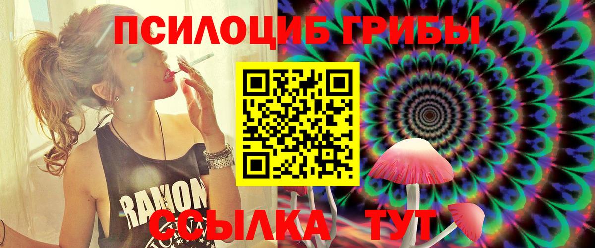 Бузулук  Псилоцибиновые грибы GOLDEN TEACHER  Вход с VPN 